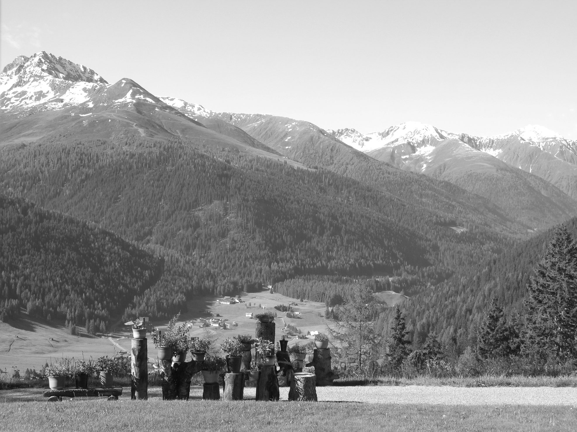 Botanische Tuin Berghotel Schatzalp Davos